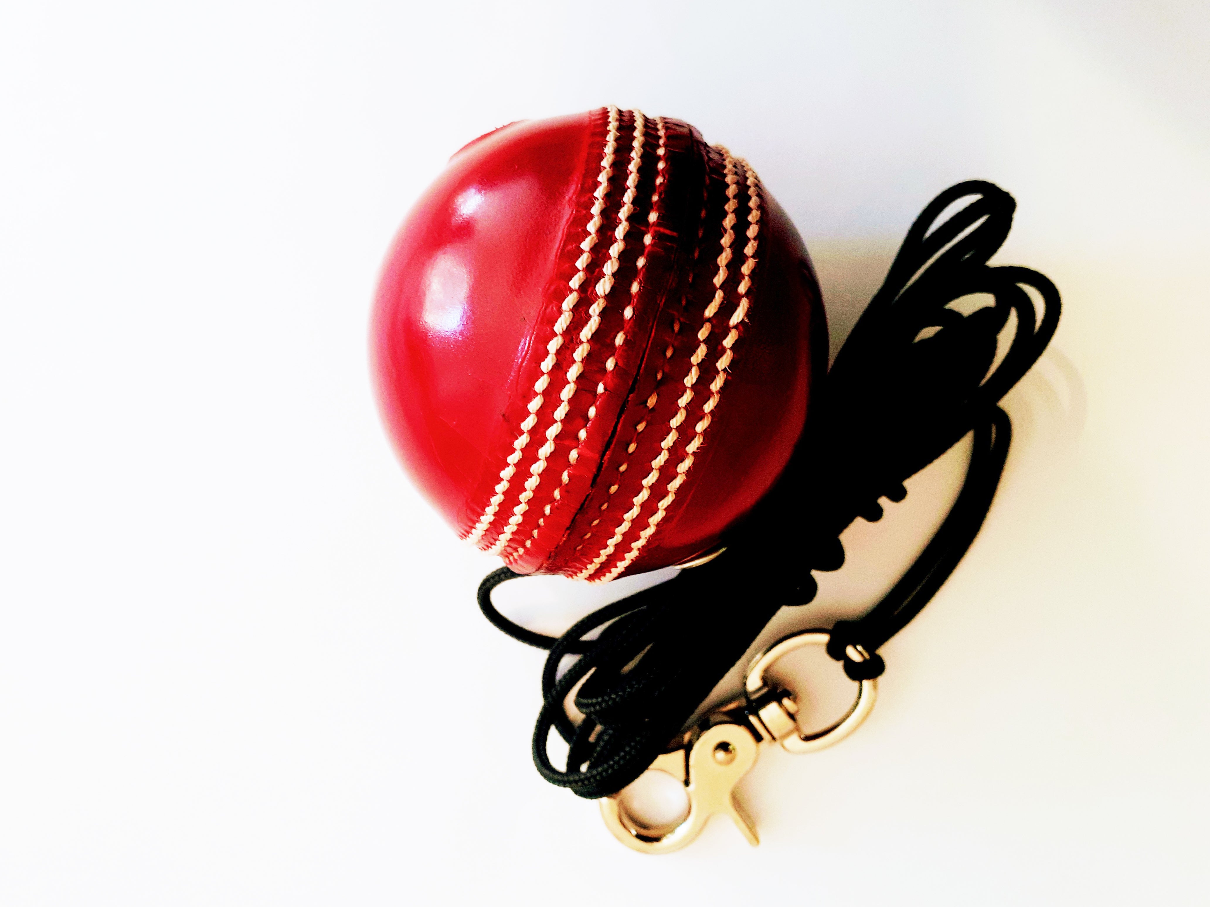 142gm RED CRICKET BALL - PRO